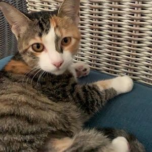 Meet your Posher, Patricia